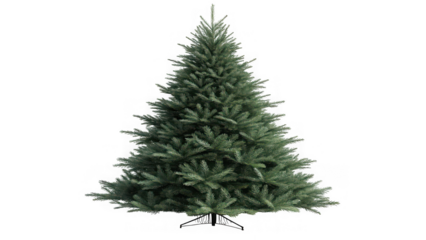 Realistic fir tree with textured green and brown needles against a dark void