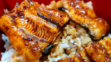 Grilled Eel Rice Bowl – Traditional Japanese Unadon in Ozu, Ehime