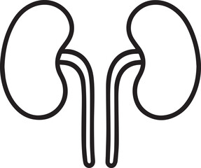 Kidneys and Collecting Ducts