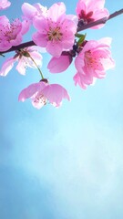 Delicate pink cherry blossoms blooming on a branch against a clear blue sky.