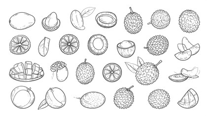 Detailed black-and-white illustration of various fruits, including whole, sliced, and cut variations, in a collection