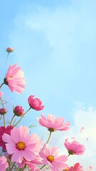 Delicate Pink Cosmos Flowers Blooming Against a Gentle Blue Sky.