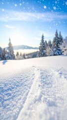 Ski tracks in fresh snow on a sunny winter day in the mountains.