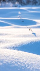 Sunlit snow drifts with long blue shadows in a serene winter landscape.