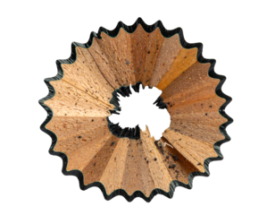 Circular pencil shaving ring, sharpened wood spiral with scalloped edge and graphite dust on isolated background