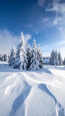 Sunny winter day in a snowy mountain forest landscape.