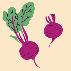 Hand-drawn beet in flat, doodle, minimalist style. Simple  design. Perfect for food packaging, kitchen prints, menus, and healthy 