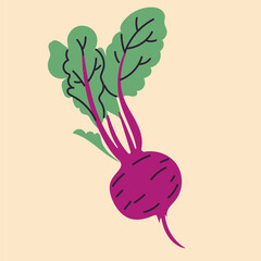 Hand-drawn beet in flat, doodle, minimalist style. Simple  design. Perfect for food packaging, kitchen prints, menus, and healthy 