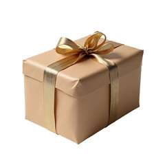 Wrapped present isolated