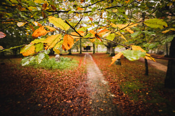 Caminando hacia el oto&ntilde;o