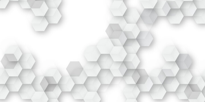 A subtle hexagon pattern background with interconnected shapes in soft gray and white. Simple abstract modern background White geometric hexagonal honeycomb shape texture background 3d copy space.	
