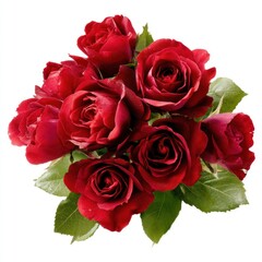 Obraz premium Close up of vibrant red roses bouquet