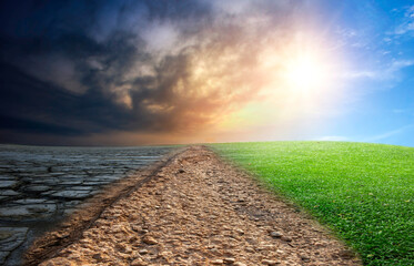 Dirt road leading to the sun on a green meadow.