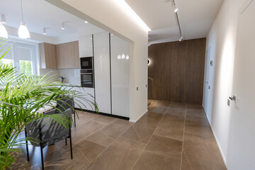 Modern and minimalist kitchen with white furniture, wooden elements, palm chamaedorea elegans