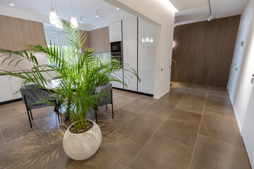 Modern and minimalist kitchen with white furniture, wooden elements, palm chamaedorea elegans