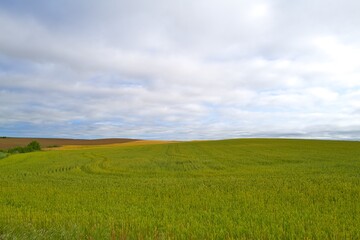 경관 자연 들판 시골 계절