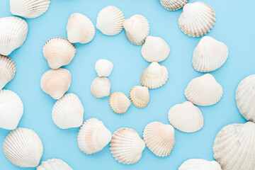 Different beautiful white sea shells on light blue table background. Pastel color. Seashells pattern. Closeup. Top down view.