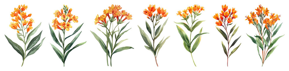 Fototapeta premium PNG Vibrant orange floral arrangement, element set on transparent background