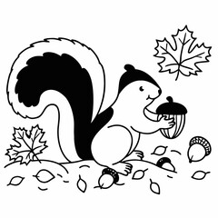 vector illustration of a squirrel