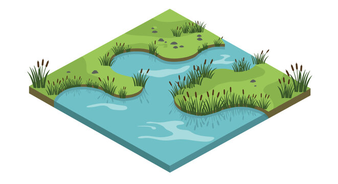 Isometric wetland landscape with water and grass elements in flat design