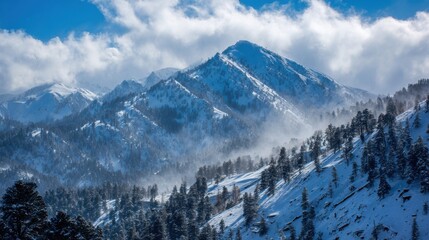 Majestic winter mountain landscape with pine trees and snow-covered peaks under blue sky