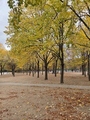 beautiful autumn in the Luxembourg garden of Paris, France