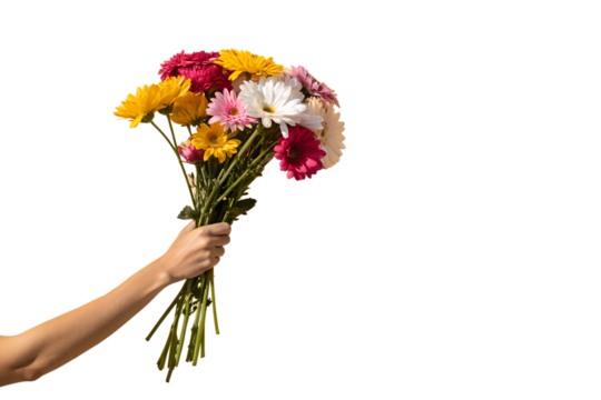 bouquet of flowers in a hand