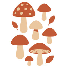 Flat vector mushrooms set — forest and autumn design