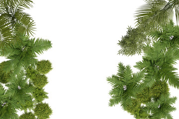 Overhead view of lush green foliage, forming a border with a dark void in the center