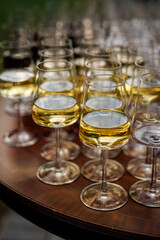 Row of white wine glasses on round table