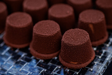 Chocolate truffles with cocoa coating arranged in rows
