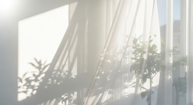 Sheer curtains and plant silhouettes in gentle sunlight - airy home moment for wellness messages lifestyle stories rental listings hospitality promotions and elegant blog headers