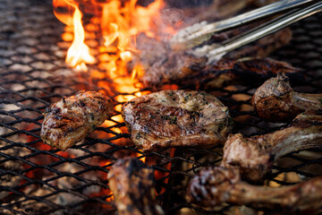 Meat pieces grilling on open fire outdoors