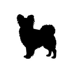 Papillon dog silhouette vector flat illustration design.