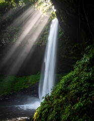 Sunlit Cascade - A Tropical Waterfall Oasis in Lush Jungle.