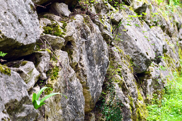 Old retaining wall constructed from massive stone blocks overgrown with grass