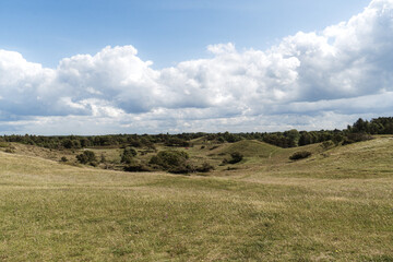 Hilly grassy landscape with low trees and bushes under a blue sky with low clouds.