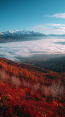 Fototapeta premium Autumn mountains, red leaves, and a sea of ​​clouds at sunrise