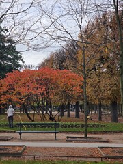Wonderful colourful autumn in the Luxembourg garden of Paris, France