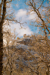 An ancient castle located in a snowy forest area