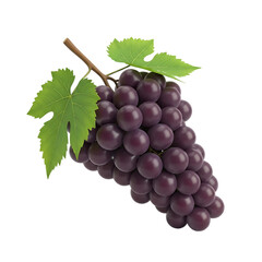 Ripe dark purple grapes, with green leaves on a vine, isolated on white or transparent background. PNG