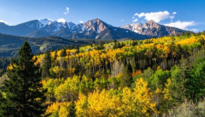 A vibrant mountain meadow bursting with yellow and purple wildflowers, framed by golden autumn trees and snow-capped peaks under a blue sky—evoking seasonal contrast, natural harmony, and the breathta