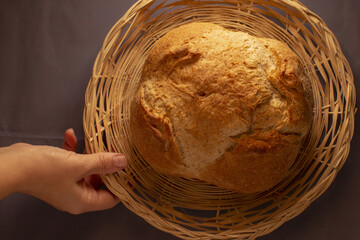 A hand gracefully reaches for a perfectly round loaf of freshly baked bread nestled in a woven basket