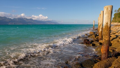 Coastal Harmony. Textured Wood and Stone at Waters Edge, Azure Sky Backdrop.