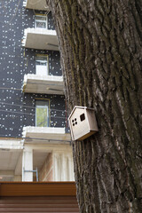 Birdhouses for birds on a tree trunk.