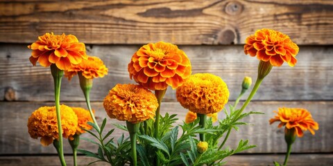 Vibrant orange marigolds arranged in a lush bouquet, showcasing their intricate details against a rustic wooden backdrop