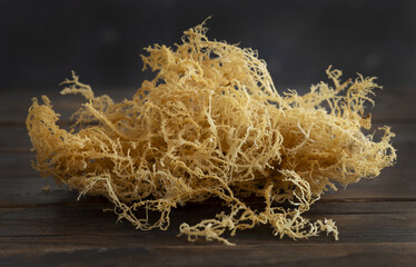 Dryed yellow seaweed irish moss Chondrus crispus, close up on dark wooden table, vegan superfood