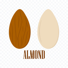 Almond. Vector illustration of an almond nut for web design.
