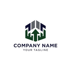 Geometric Hexagon Logo with Arrow Symbolizing Growth and Progress for Company.