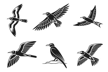 Obraz premium Minimalist inca tern bird icons set black and yellow